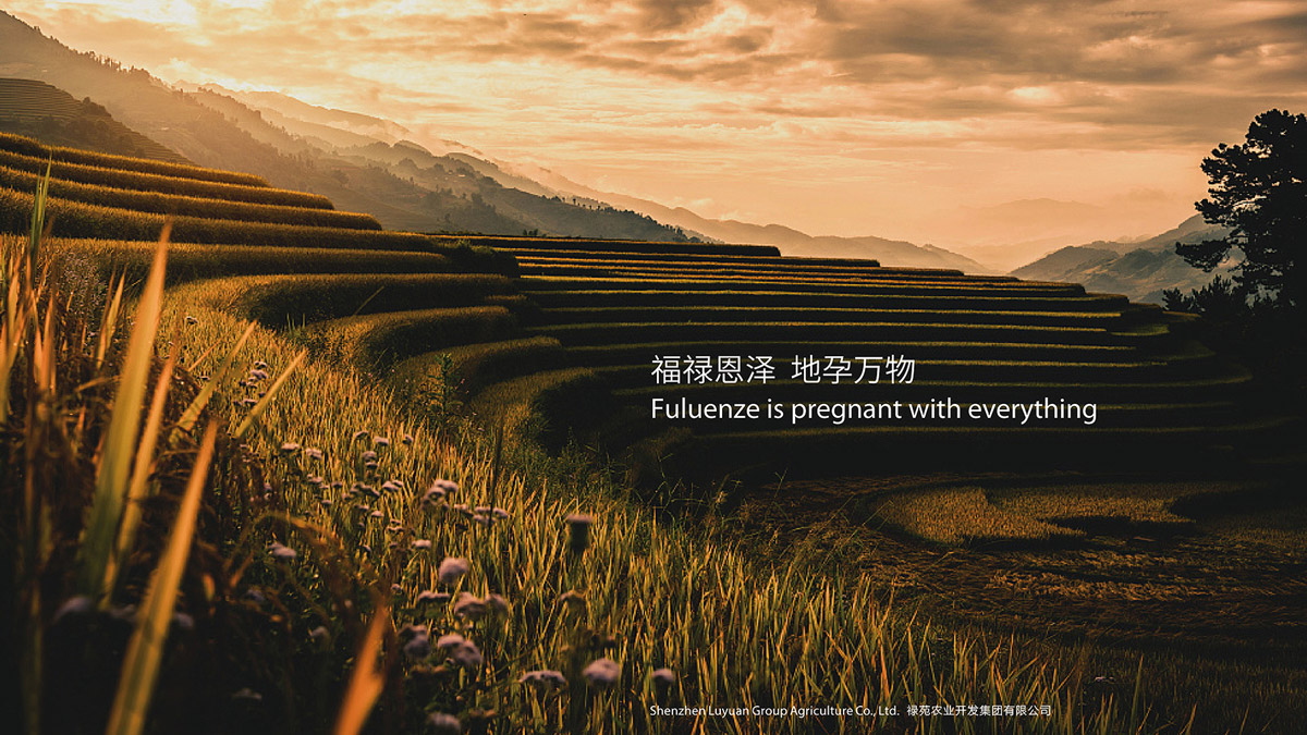養(yǎng)老院vi設(shè)計