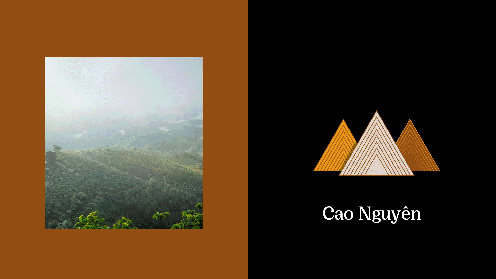 Sunburned Plateau 包裝 Sunburned Plateau 包裝