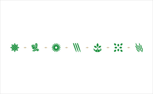 酒類(lèi)包裝設(shè)計(jì)