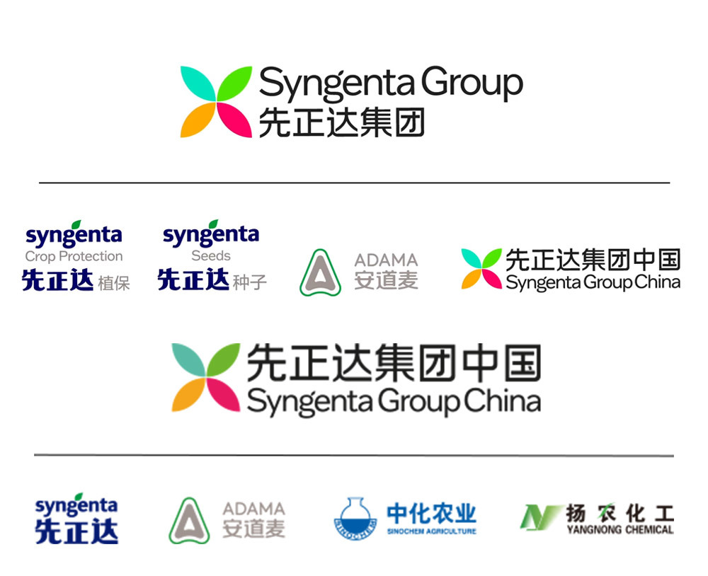 企業(yè)形象設計