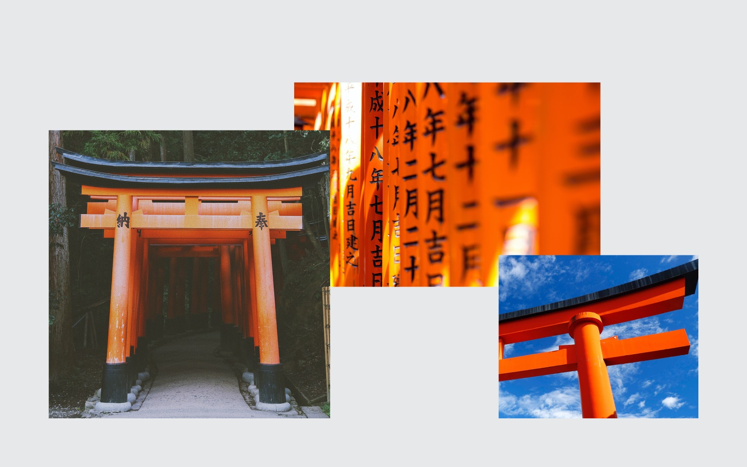航空公司品牌形象設(shè)計(jì)